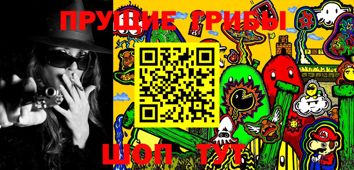 Сосновый Бор  цена наркотик  Вход с VPN  Псилоцибиновые грибы MAGIC MUSHROOMS 